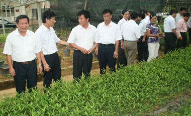 Được và chưa được